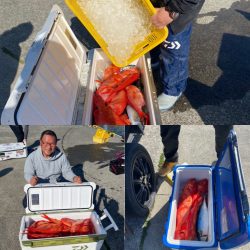 番匠高宮丸 釣果