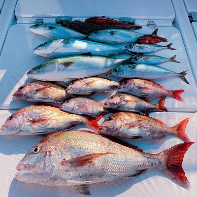 フィシングボートAir(エアー) 釣果