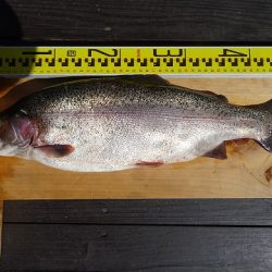 志高湖フィッシング 釣果