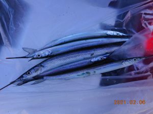 鹿島港魚釣園 釣果