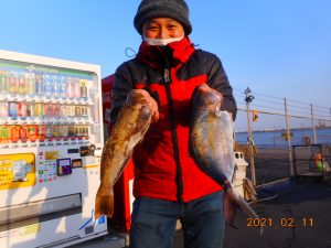鹿島港魚釣園 釣果