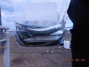 鹿島港魚釣園 釣果