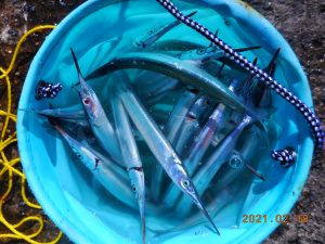 鹿島港魚釣園 釣果