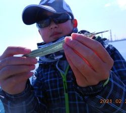 鹿島港魚釣園 釣果
