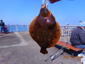鹿島港魚釣園 釣果