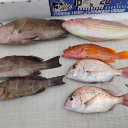 フィッシングボート空風(そらかぜ) 釣果