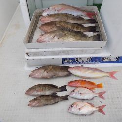 フィッシングボート空風(そらかぜ) 釣果