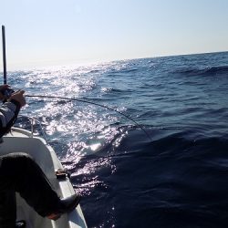 フィッシングボート空風(そらかぜ) 釣果