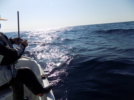 フィッシングボート空風(そらかぜ) 釣果