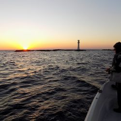 フィッシングボート空風(そらかぜ) 釣果