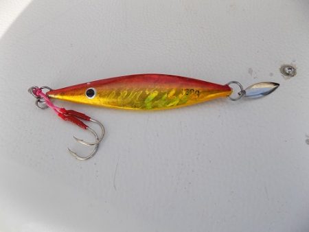 フィッシングボート空風（そらかぜ） 釣果