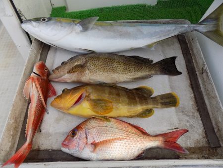 フィッシングボート空風（そらかぜ） 釣果