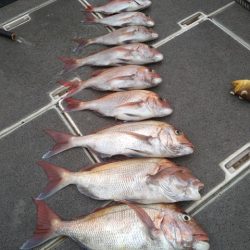 飛燕さくら丸 釣果