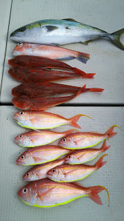 釣り舟　海竜 釣果