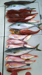 釣り舟　海竜 釣果