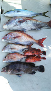 釣り舟　海竜 釣果