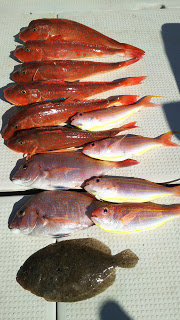 釣り舟　海竜 釣果