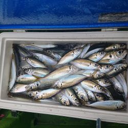 深川 吉野屋 釣果