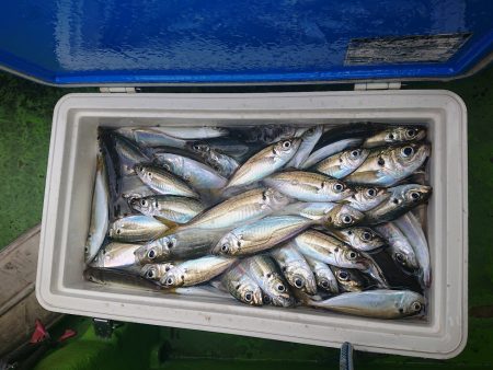 深川 吉野屋 釣果