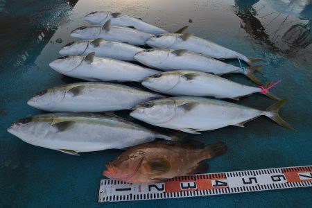 アジアマリンサービス 釣果