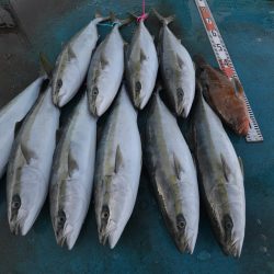 アジアマリンサービス 釣果