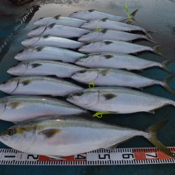 アジアマリンサービス 釣果