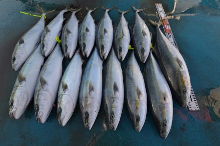 アジアマリンサービス 釣果