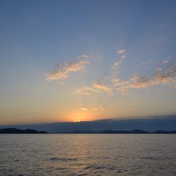 アジアマリンサービス 釣果