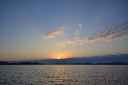 アジアマリンサービス 釣果