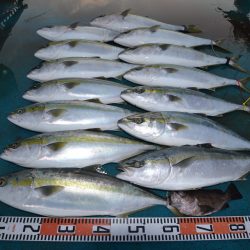 アジアマリンサービス 釣果