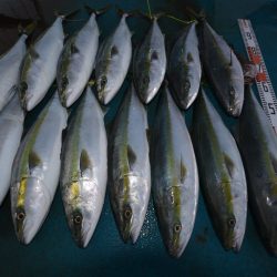 アジアマリンサービス 釣果