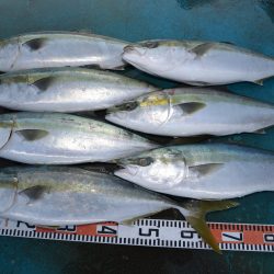 アジアマリンサービス 釣果