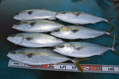 アジアマリンサービス 釣果