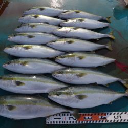 アジアマリンサービス 釣果