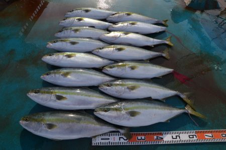 アジアマリンサービス 釣果