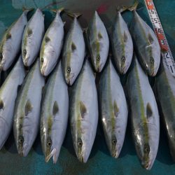 アジアマリンサービス 釣果