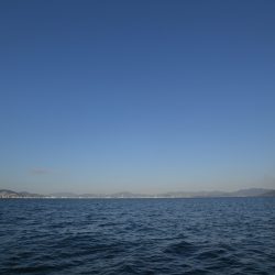 アジアマリンサービス 釣果