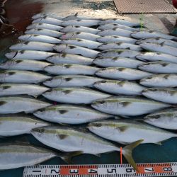 アジアマリンサービス 釣果