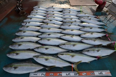 アジアマリンサービス 釣果