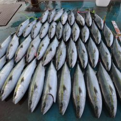 アジアマリンサービス 釣果