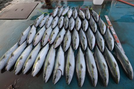 アジアマリンサービス 釣果