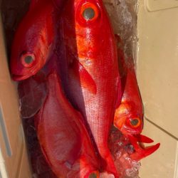 番匠高宮丸 釣果