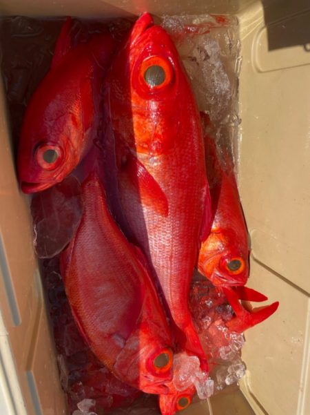 番匠高宮丸 釣果