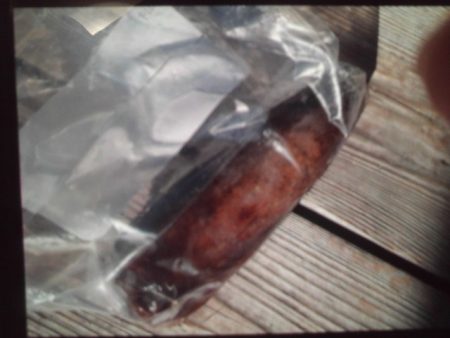 こかわ渡船　雅丸 釣果