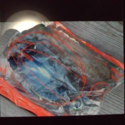 こかわ渡船　雅丸 釣果