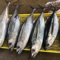 Sea Frend 片山丸 釣果