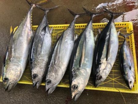 Sea Frend 片山丸 釣果