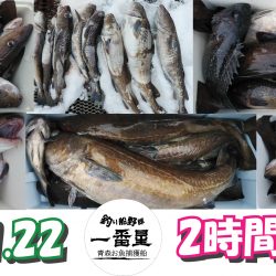 釣り船一番星 釣果