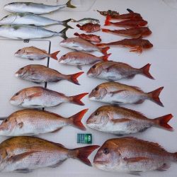 フィッシングボートACE(エース) 釣果