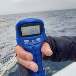 フィッシングボートACE(エース) 釣果